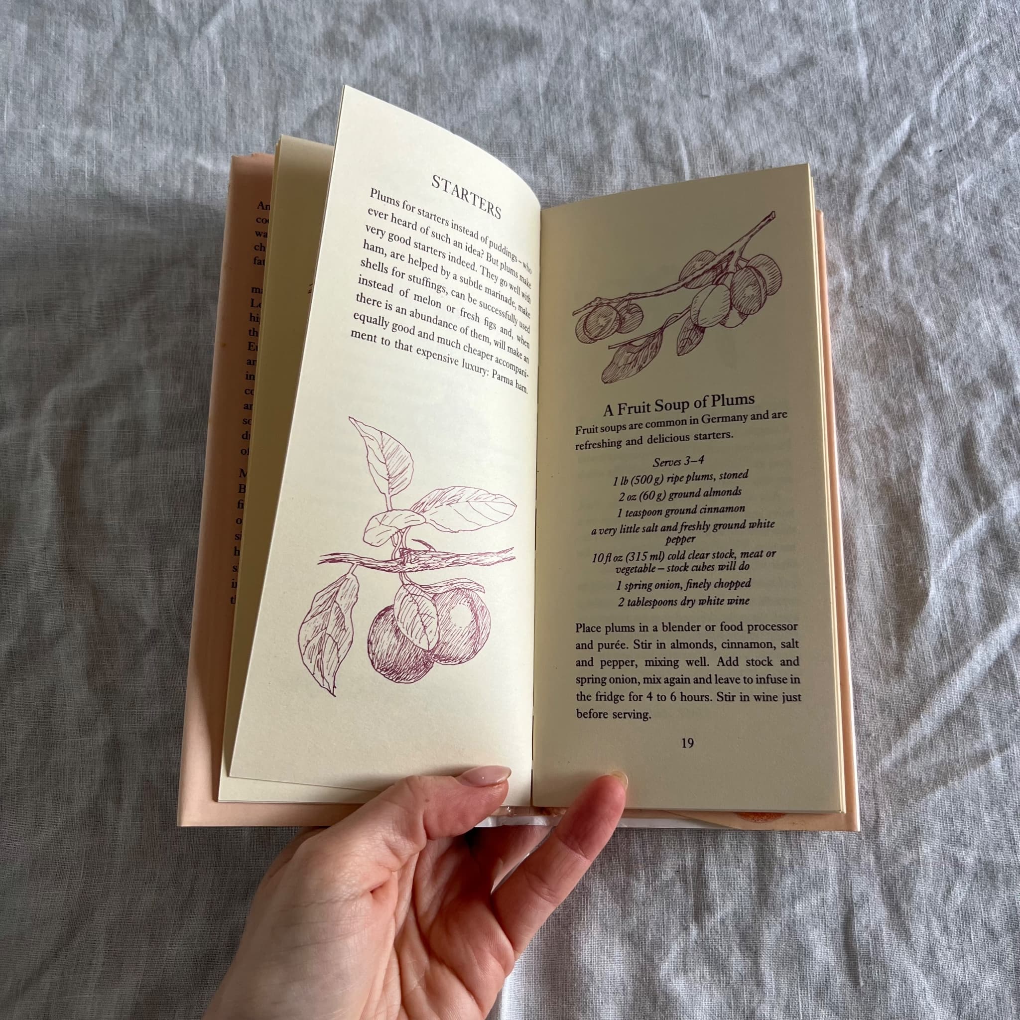 A Glut of Plums by Ann Carr - Vintage 1988 Recipe Book — photo 6 of 8
