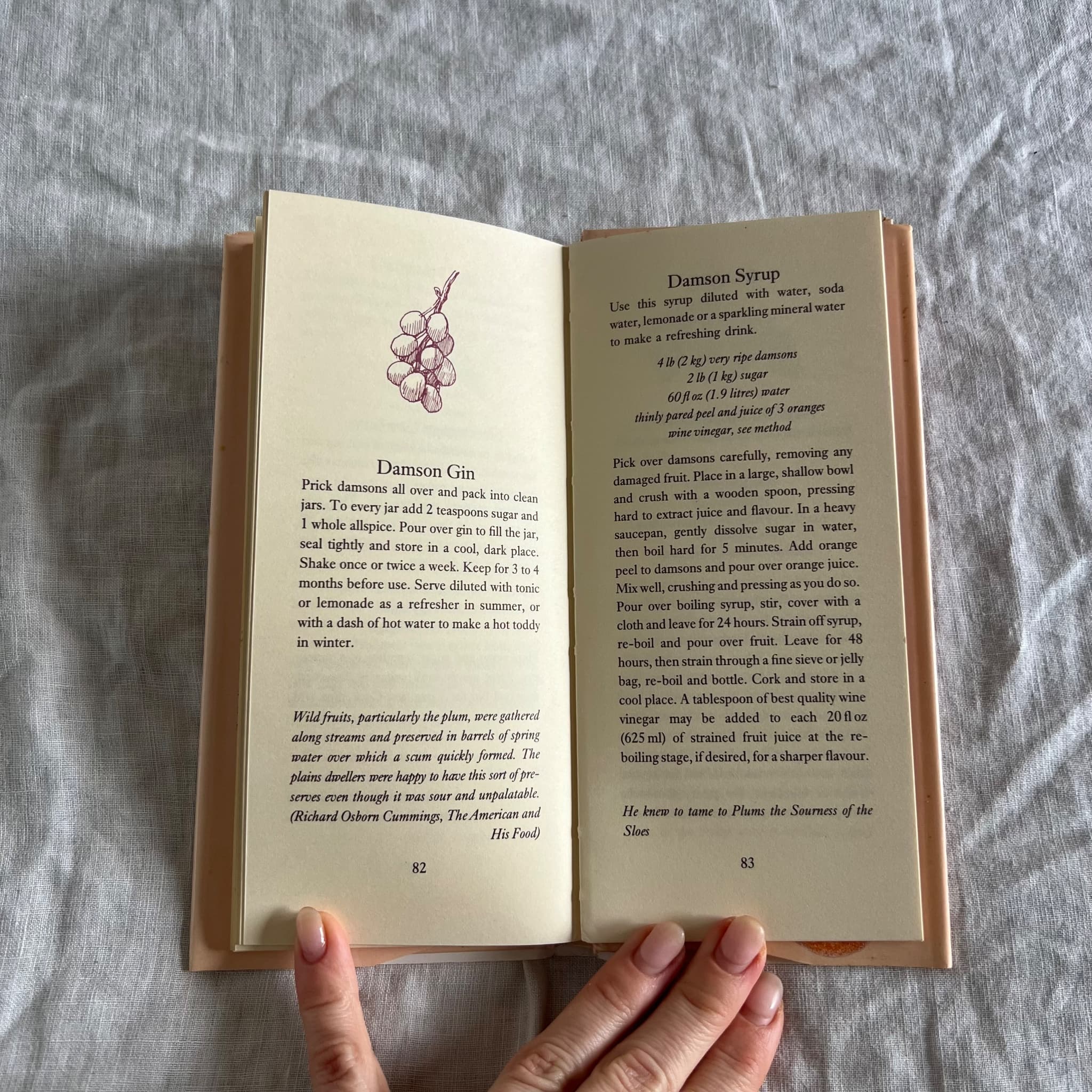 A Glut of Plums by Ann Carr - Vintage 1988 Recipe Book — photo 7 of 8