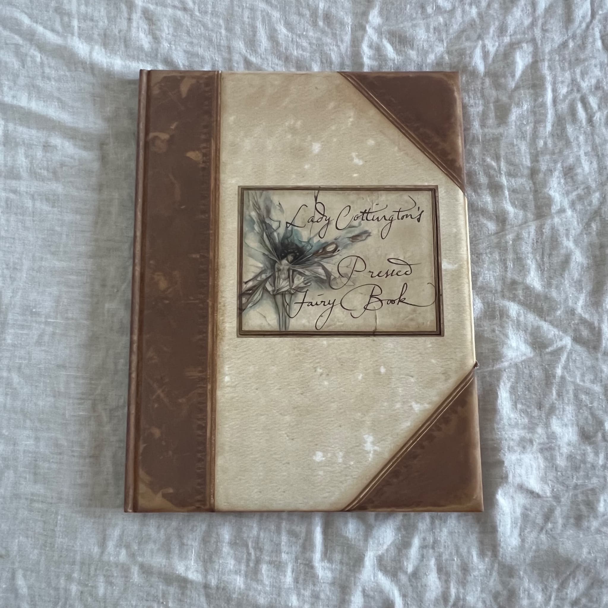 Lady Cottington's Pressed Fairy Book - Hardcover — photo 1 of 6