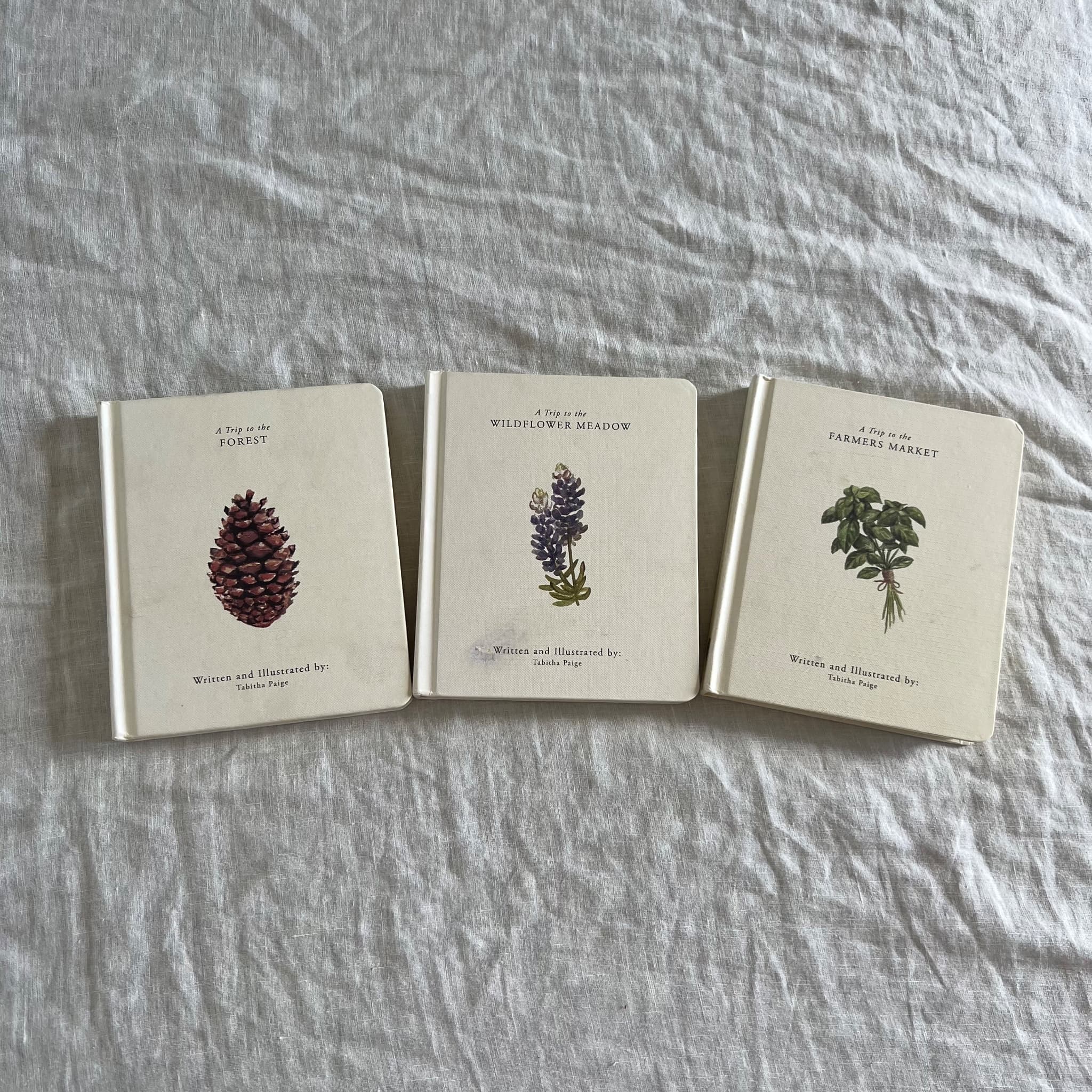 Our Little Adventures Book Set by - 3 Children's Board Books — photo 1 of 5