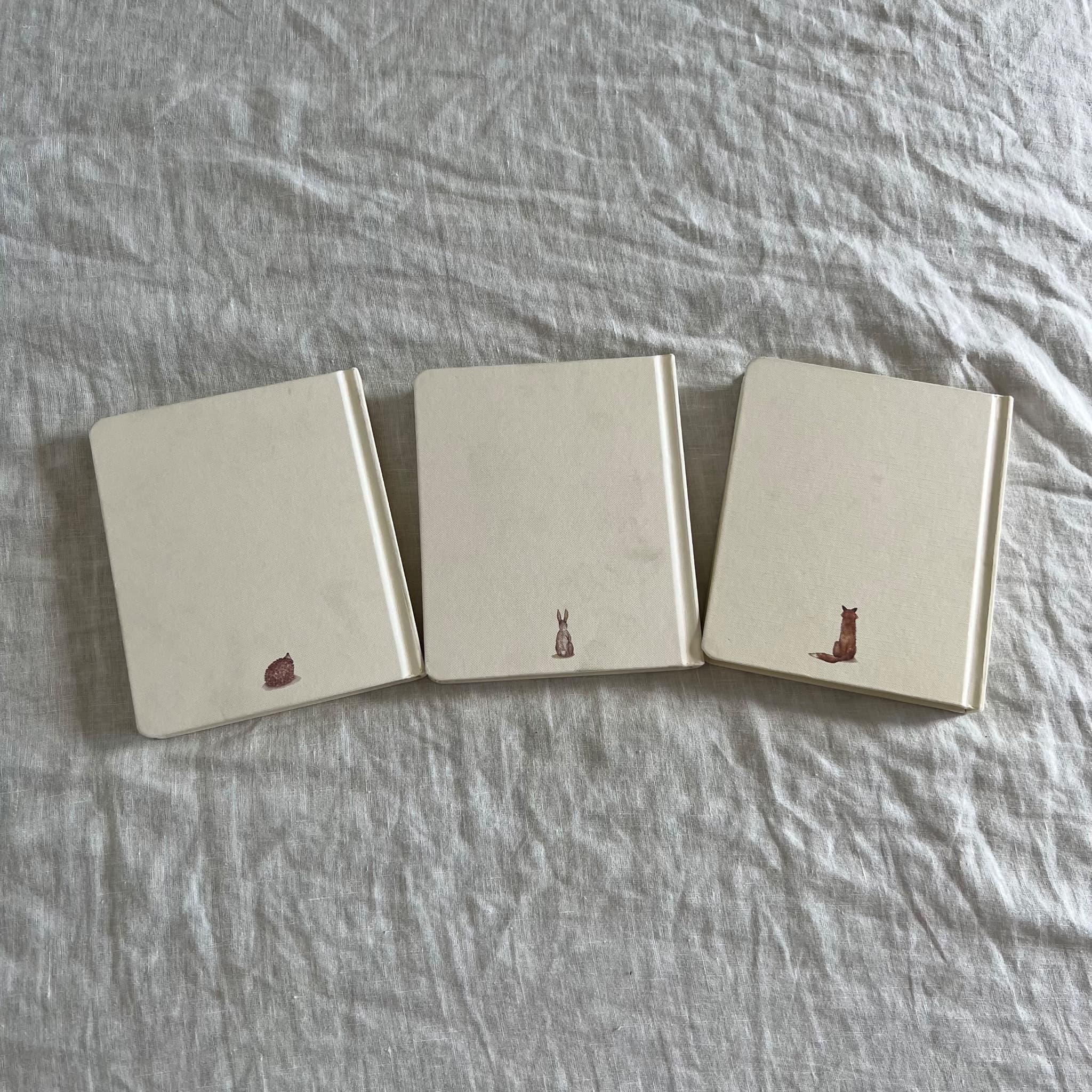 Our Little Adventures Book Set by - 3 Children's Board Books — photo 2 of 5