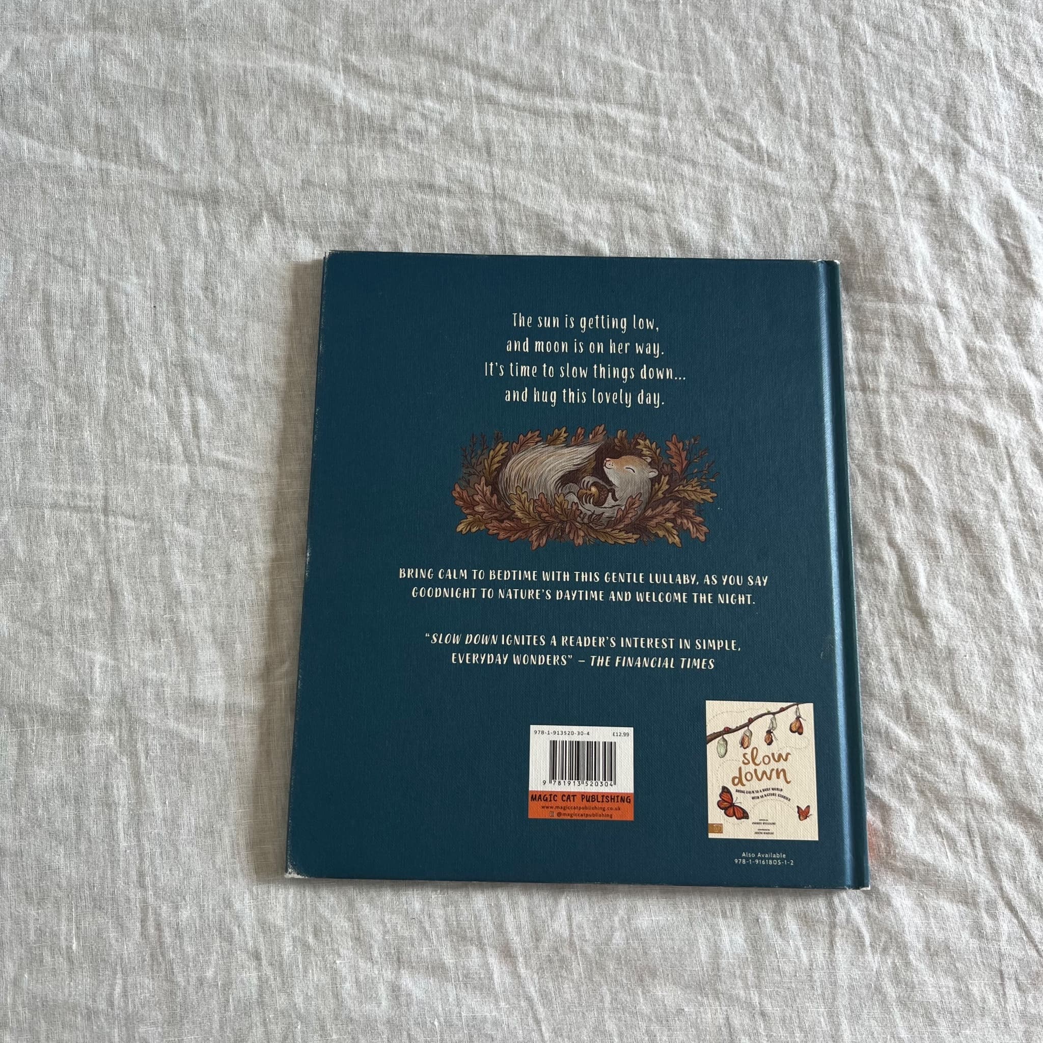 Slow Down... And Sleep Tight by Rachel Williams - Children's Bedtime Book — photo 2 of 7