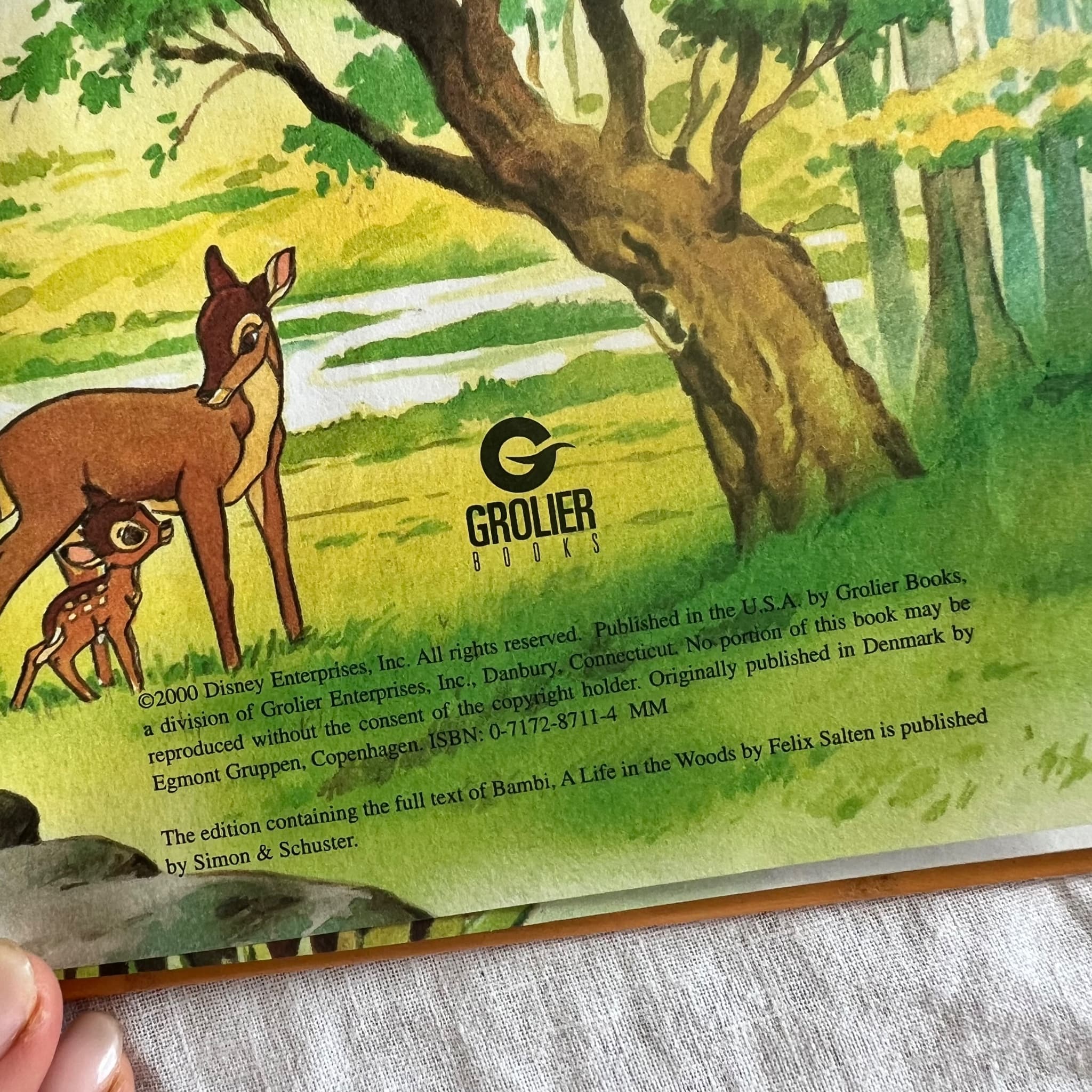 Walt Grolier Books's Bambi - Grolier Books's Wonderful World Of Reading Hardcover Book — photo 3 of 6