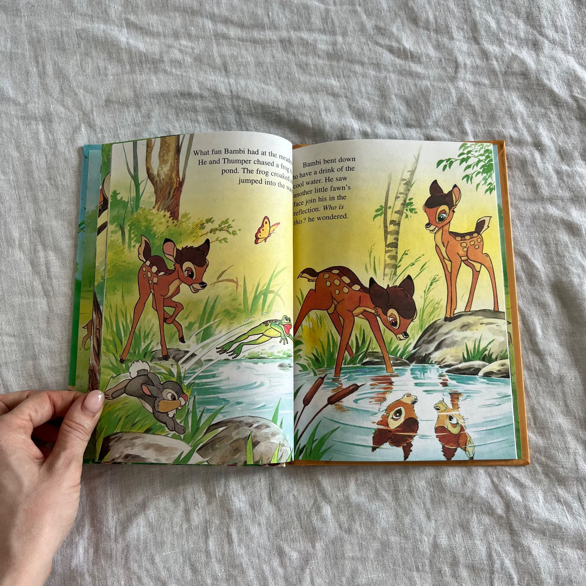 Walt Grolier Books's Bambi - Grolier Books's Wonderful World Of Reading Hardcover Book — photo 5 of 6