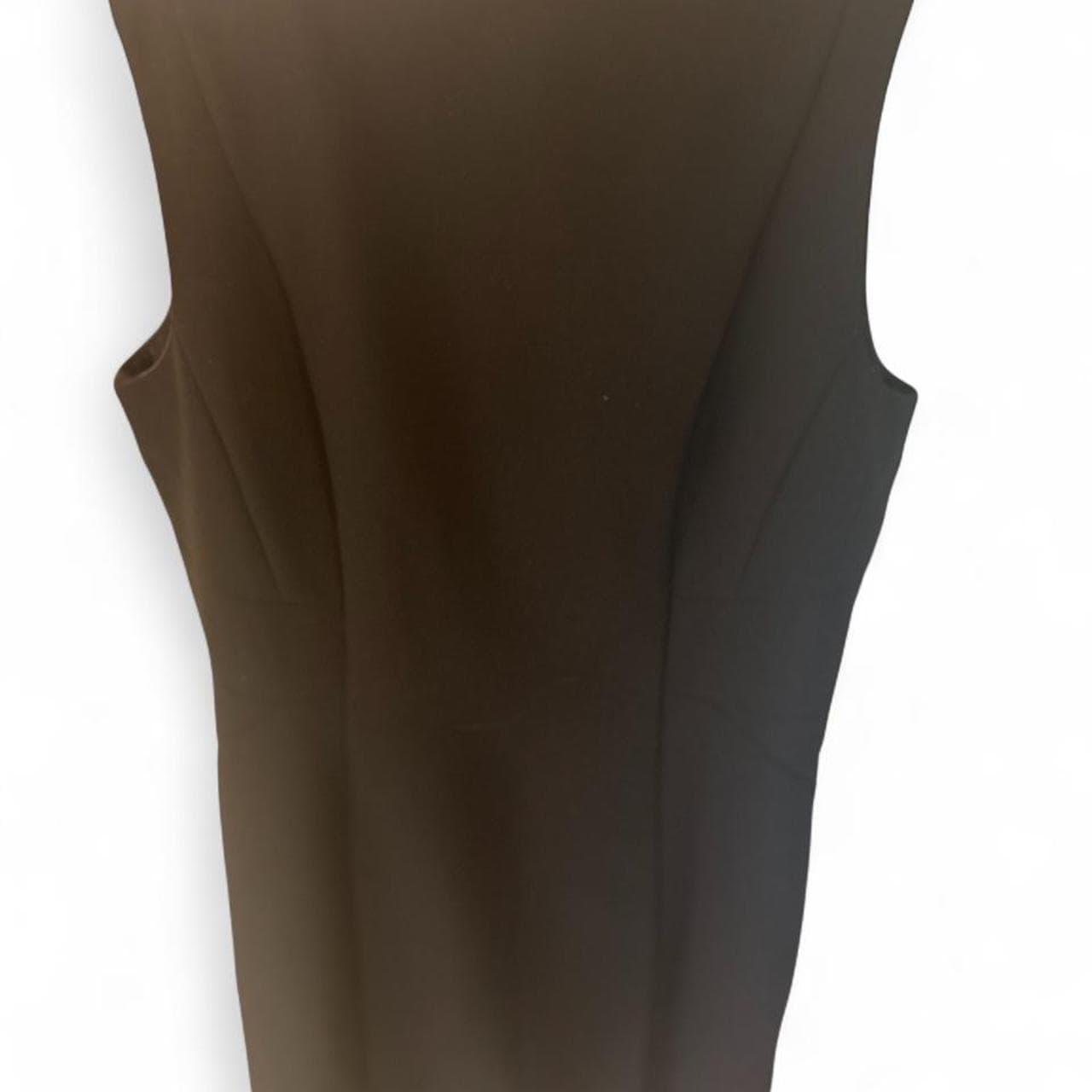 Forcast Black Sleeveless Straight Line Panel Seam Dress — photo 4 of 4