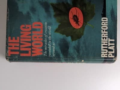 Elements of Zoology Storer and Usinger 1961 Vintage Hardcover Biology Book — photo 9 of 14