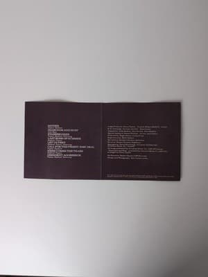 CD Album Limp Bizkit Chocolate Starfish & the Hot Dog Flavored Water Special Ed. — photo 7 of 13