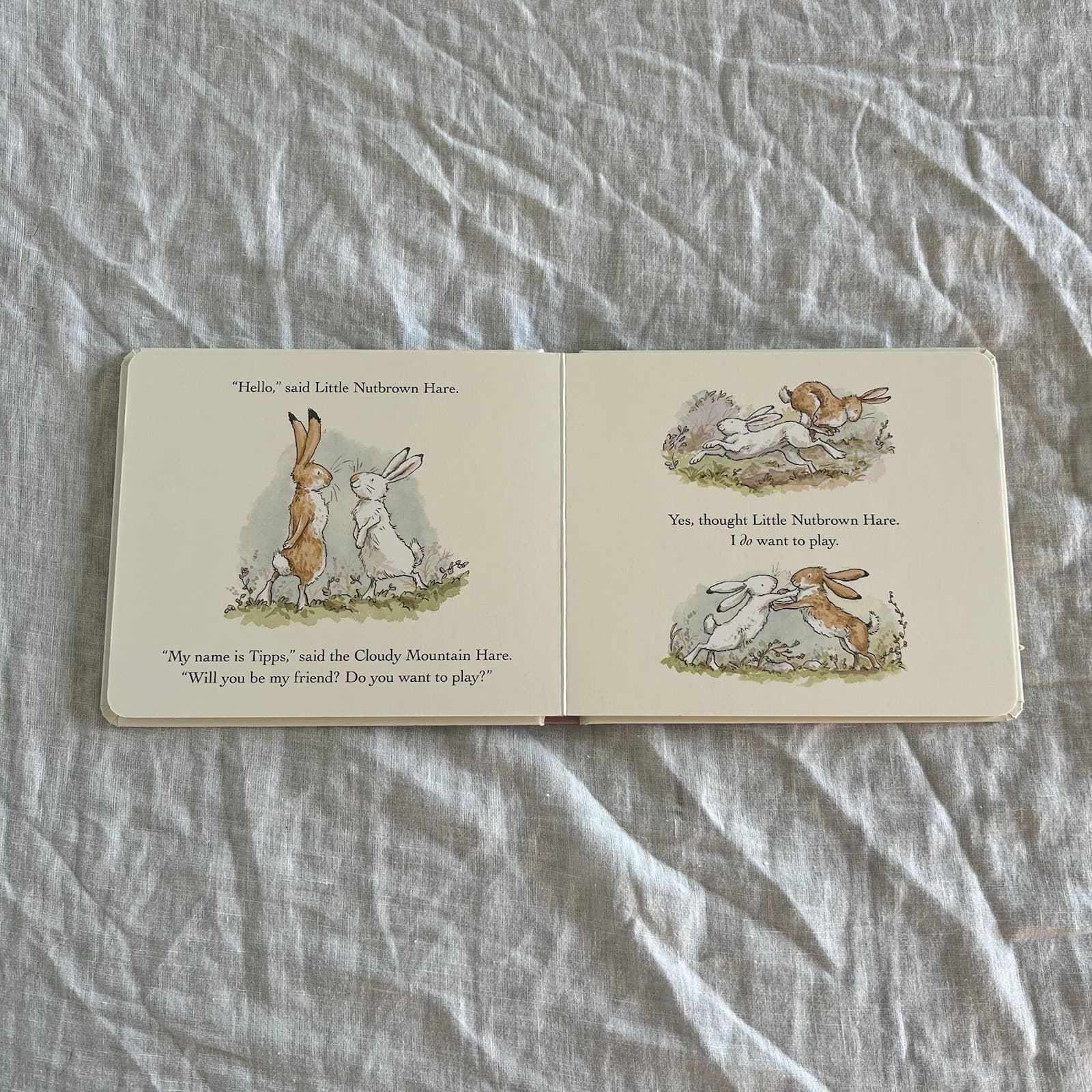 Will You Be My Friend? Board Book Sam McBratney Guess How Much I Love You — photo 4 of 4
