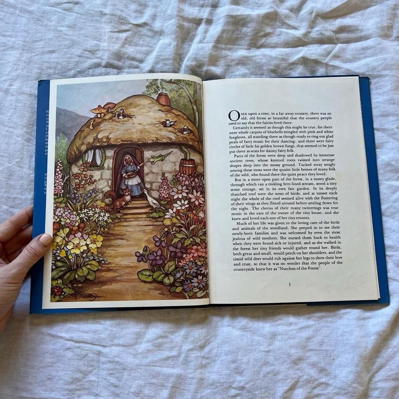 Nutchen of the Forest Vintage 1983 Hardcover Peg Maltby Illustrations Fairytale — photo 5 of 7