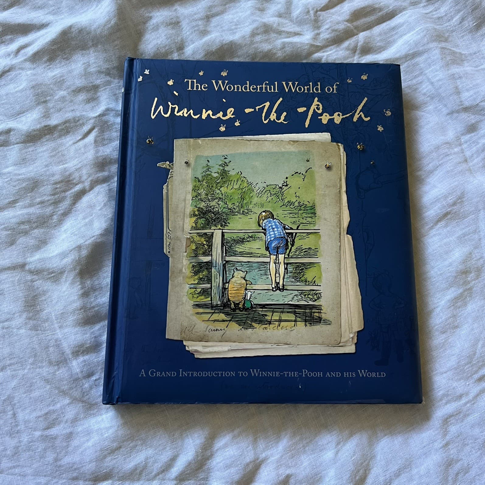 The Wonderful World of Winnie The Pooh Hardcover Lift the Flap A.A. Milne — photo 1 of 4