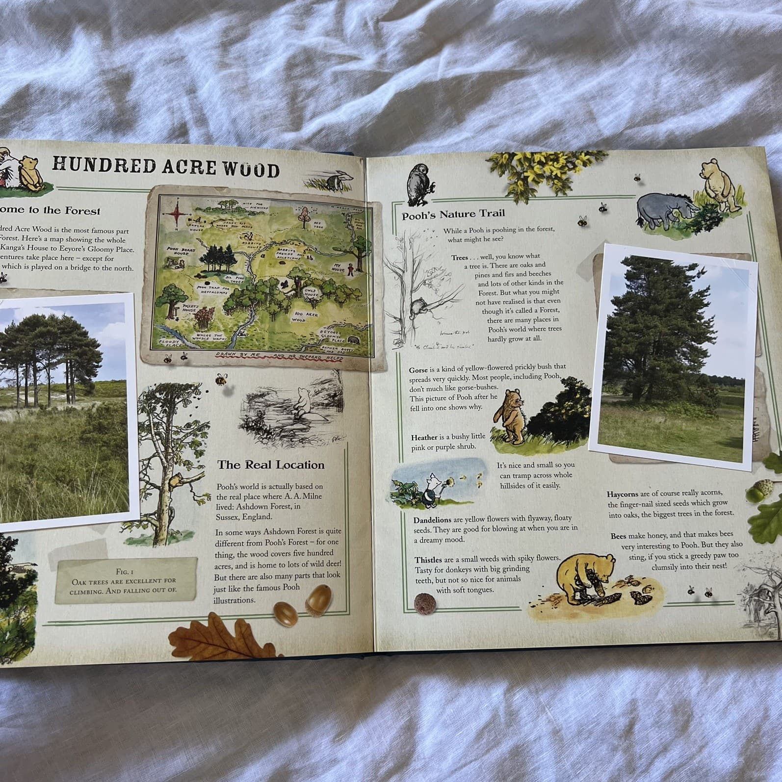 The Wonderful World of Winnie The Pooh Hardcover Lift the Flap A.A. Milne — photo 3 of 4