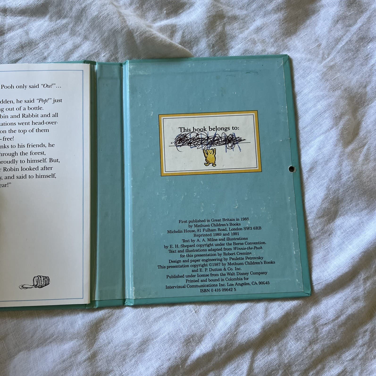 Vintage Pooh Goes Visiting A. A. Milne Carousel Book Pop Up 3D Shepard Art — photo 3 of 8