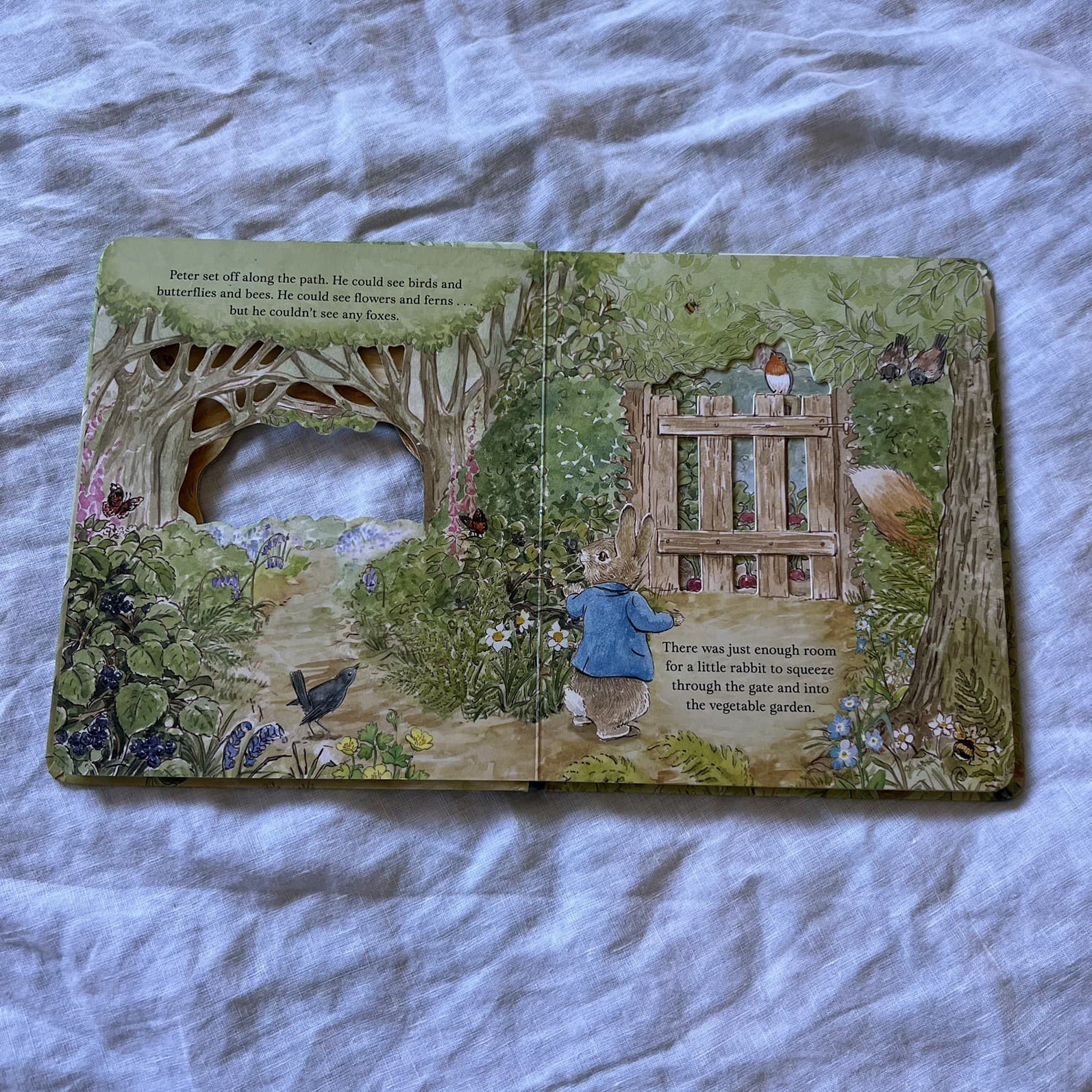 Peter Rabbit A Peep-Inside Tale Board Book Beatrix Potter Interactive Flap Book — photo 3 of 3