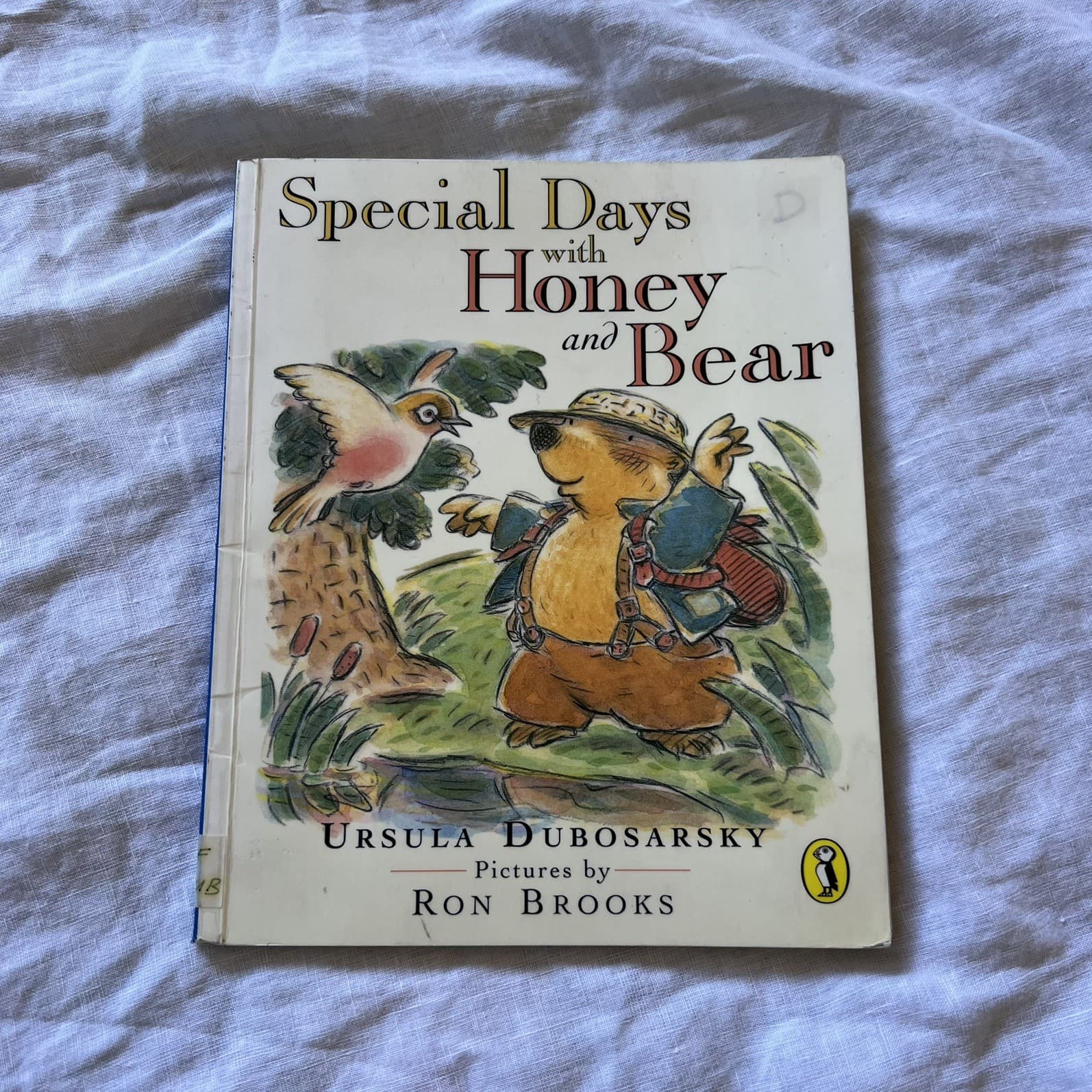 Special Days with Honey and Bear Ursula Dubosarsky Ron Brooks Early Reader Book — photo 1 of 6