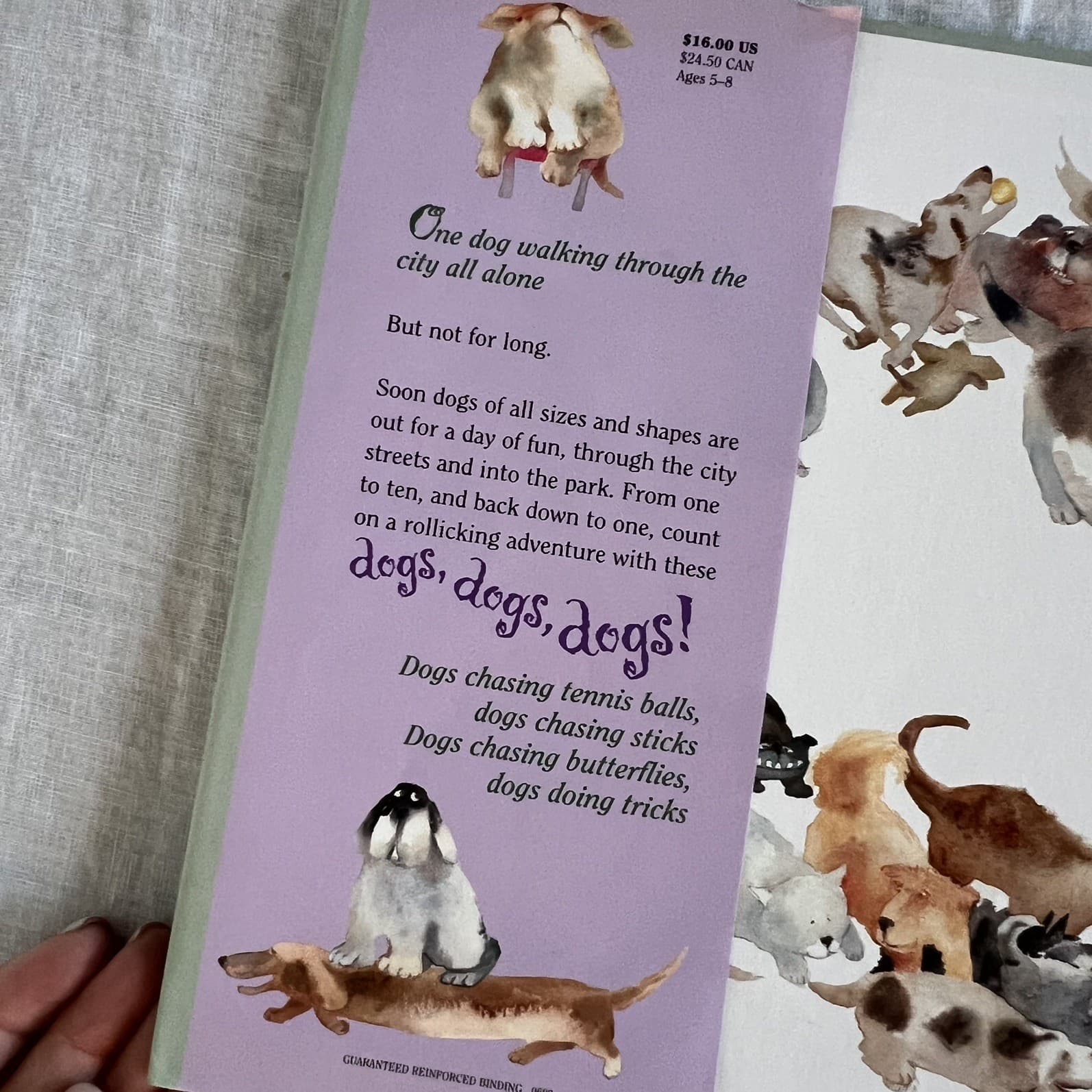 Dogs Dogs Dogs Leslea Newman Erika Oller Hardcover Picture Book Kids Children — photo 2 of 7