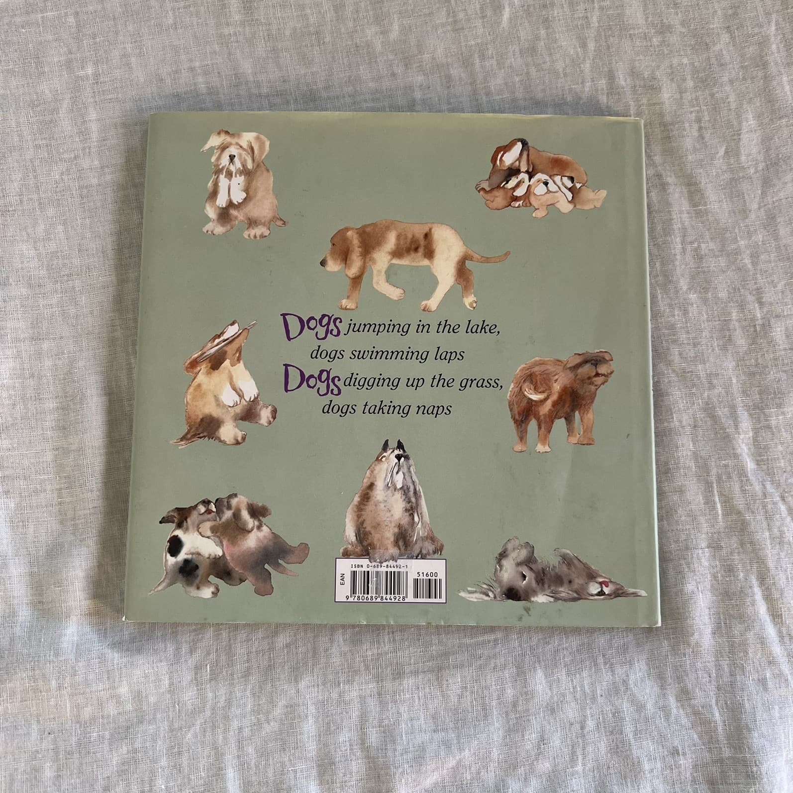 Dogs Dogs Dogs Leslea Newman Erika Oller Hardcover Picture Book Kids Children — photo 5 of 7