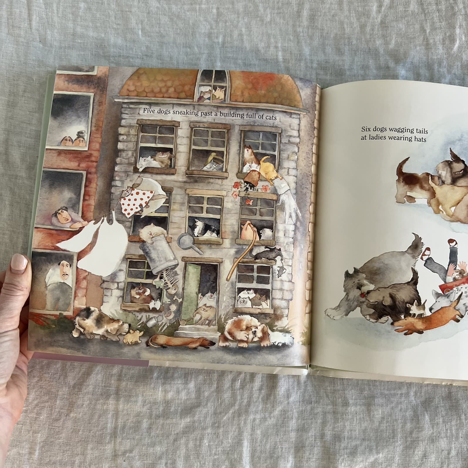 Dogs Dogs Dogs Leslea Newman Erika Oller Hardcover Picture Book Kids Children — photo 7 of 7