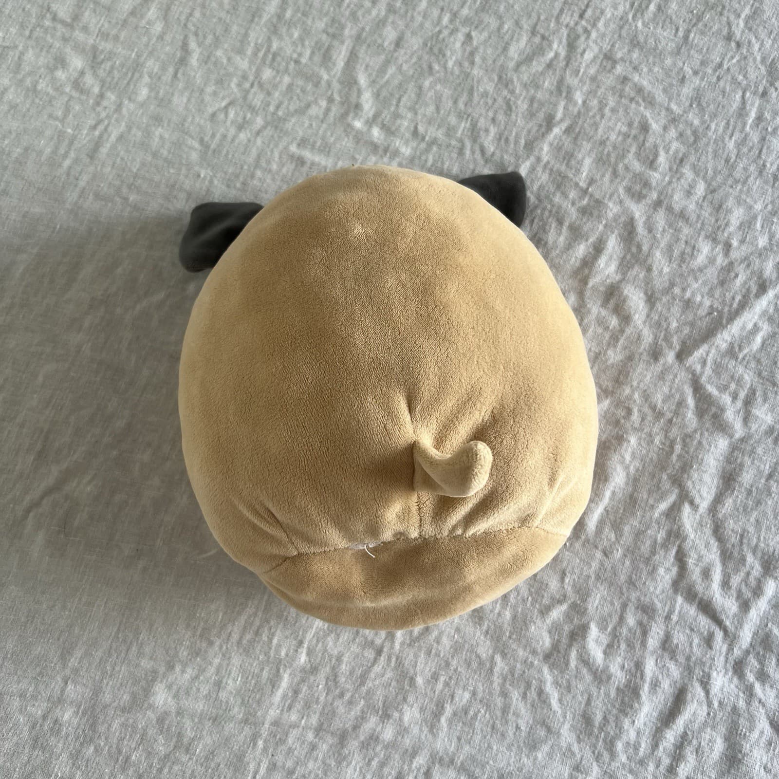 Squishmallow Prince The Pug Plush Soft Toy Beige Grey Stuffed Animal 8 Inch — photo 3 of 12