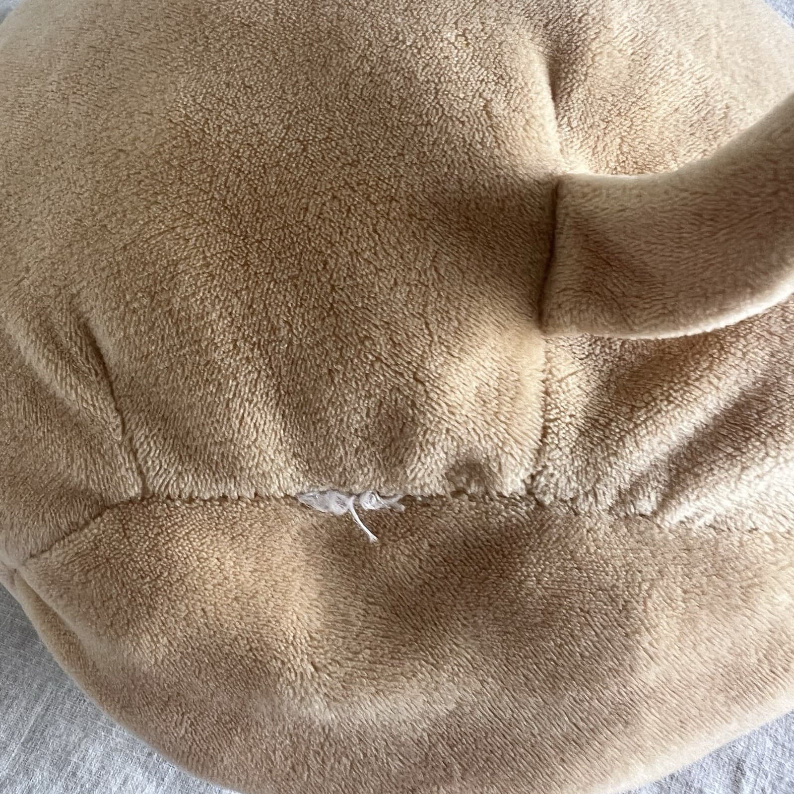 Squishmallow Prince The Pug Plush Soft Toy Beige Grey Stuffed Animal 8 Inch — photo 4 of 12