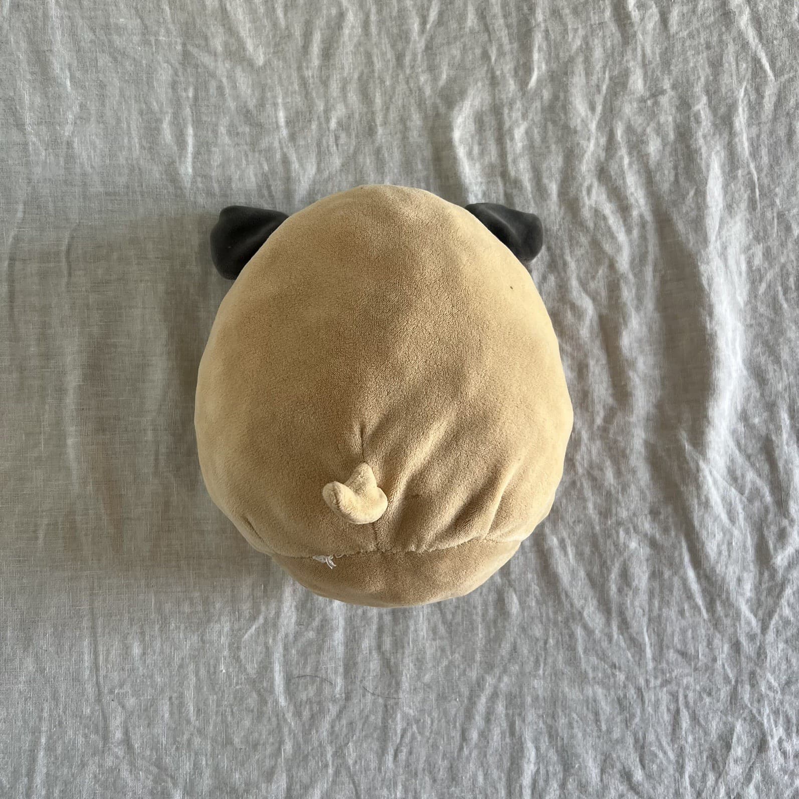 Squishmallow Prince The Pug Plush Soft Toy Beige Grey Stuffed Animal 8 Inch — photo 8 of 12