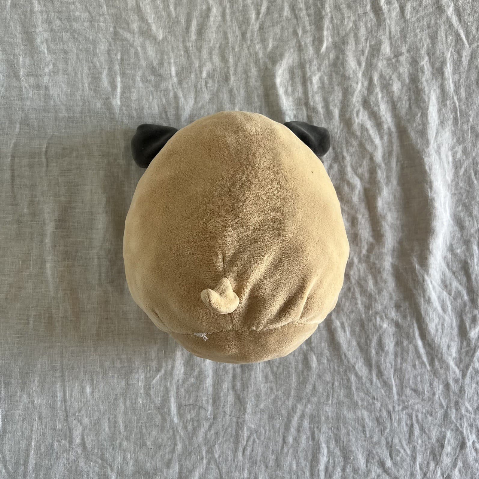 Squishmallow Prince The Pug Plush Soft Toy Beige Grey Stuffed Animal 8 Inch — photo 9 of 12