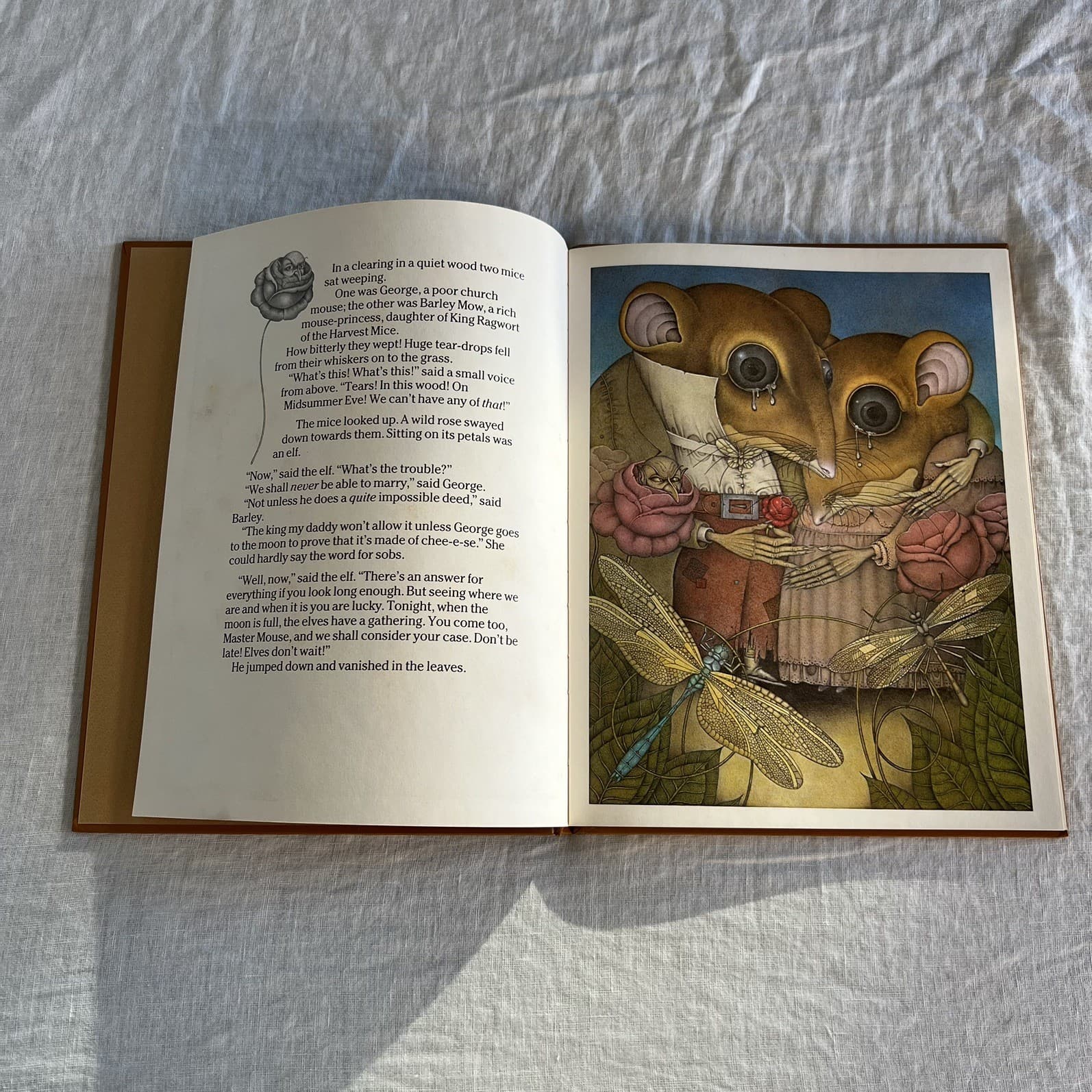 A Mouses Tale Wayne Anderson 1983 First Edition Hardcover Rare Fantasy Astrology — photo 2 of 9