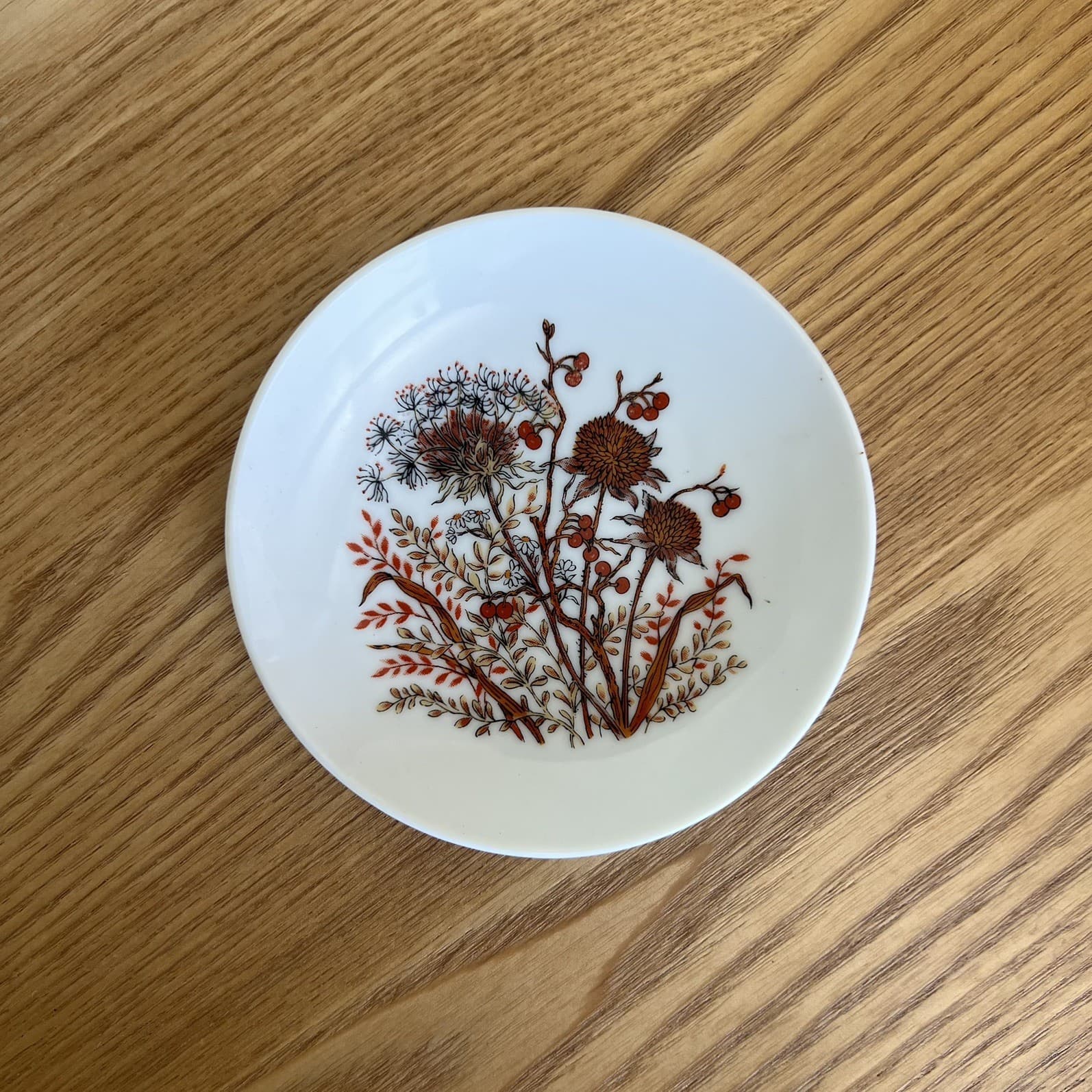 Cottagecore Whimsygoth Vintage Japanese Ceramic Trinket Dish Bramble Fanci Plate — photo 1 of 5
