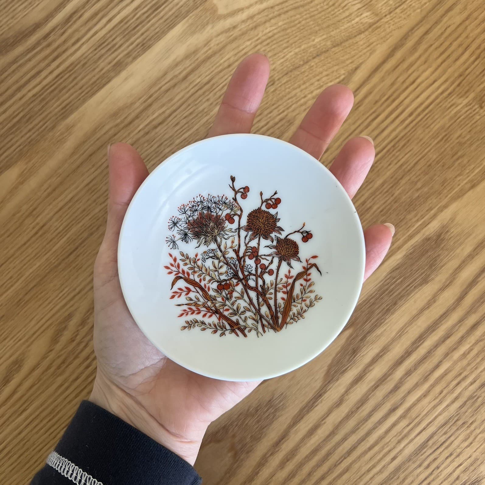 Cottagecore Whimsygoth Vintage Japanese Ceramic Trinket Dish Bramble Fanci Plate — photo 3 of 5