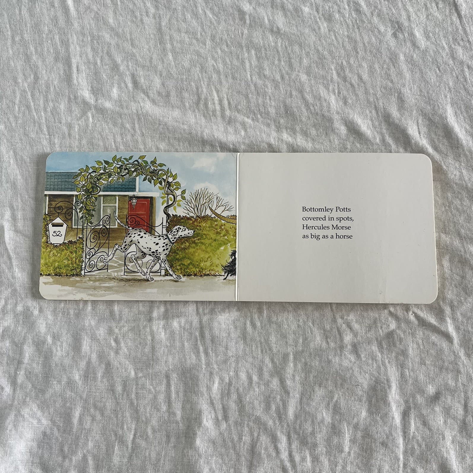 Hairy Maclary from Donaldsons Dairy Board Book Lynley Dodd Kids Classic Toddler — photo 4 of 4