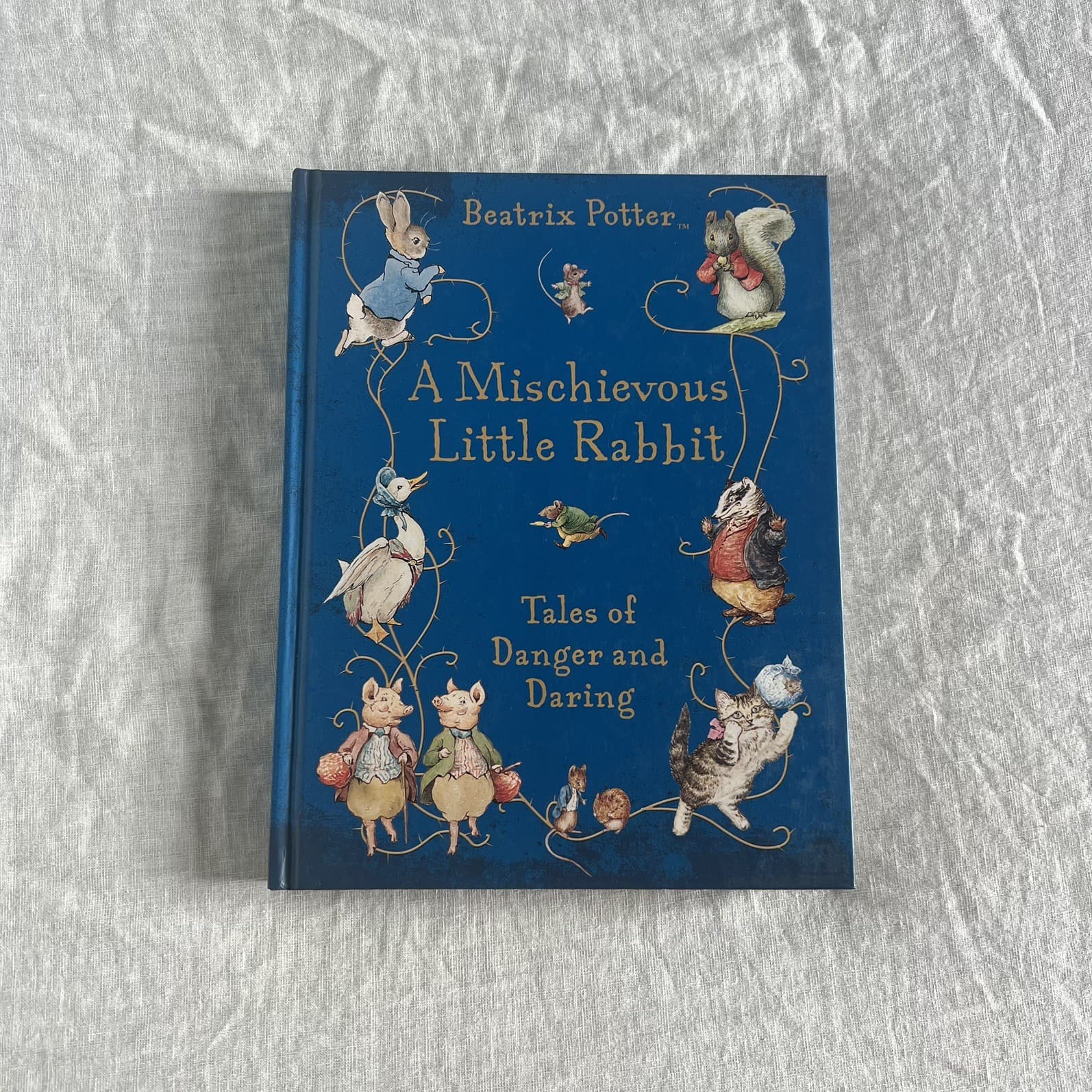 Beatrix Potter A Mischievous Little Rabbit Tales of Danger and Daring Book Gift — photo 1 of 6
