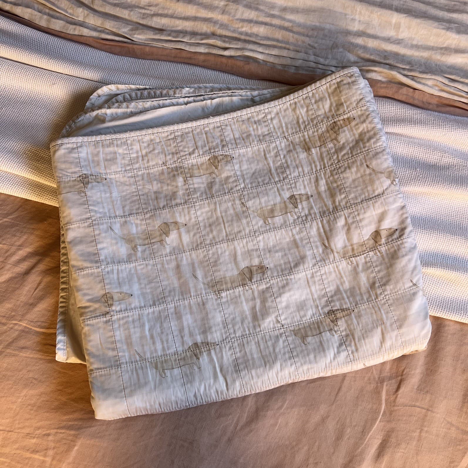 Bambella Designs Sausage Dog Waterproof Training Sheet Single Bed Pad — photo 1 of 7
