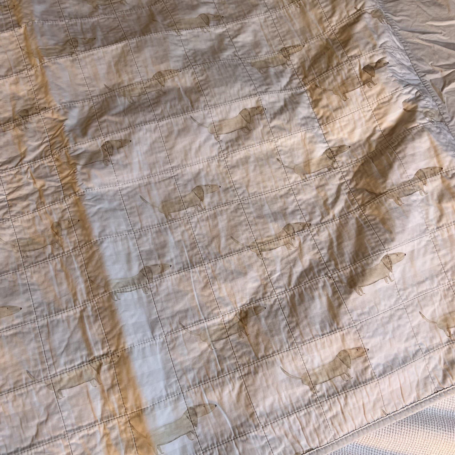 Bambella Designs Sausage Dog Waterproof Training Sheet Single Bed Pad — photo 3 of 7