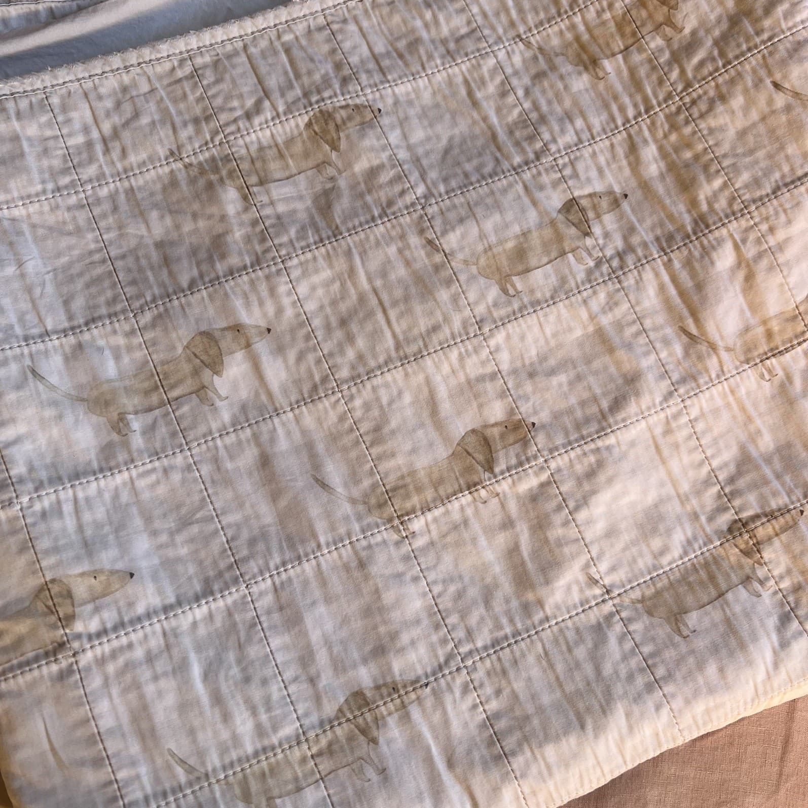 Bambella Designs Sausage Dog Waterproof Training Sheet Single Bed Pad — photo 5 of 7
