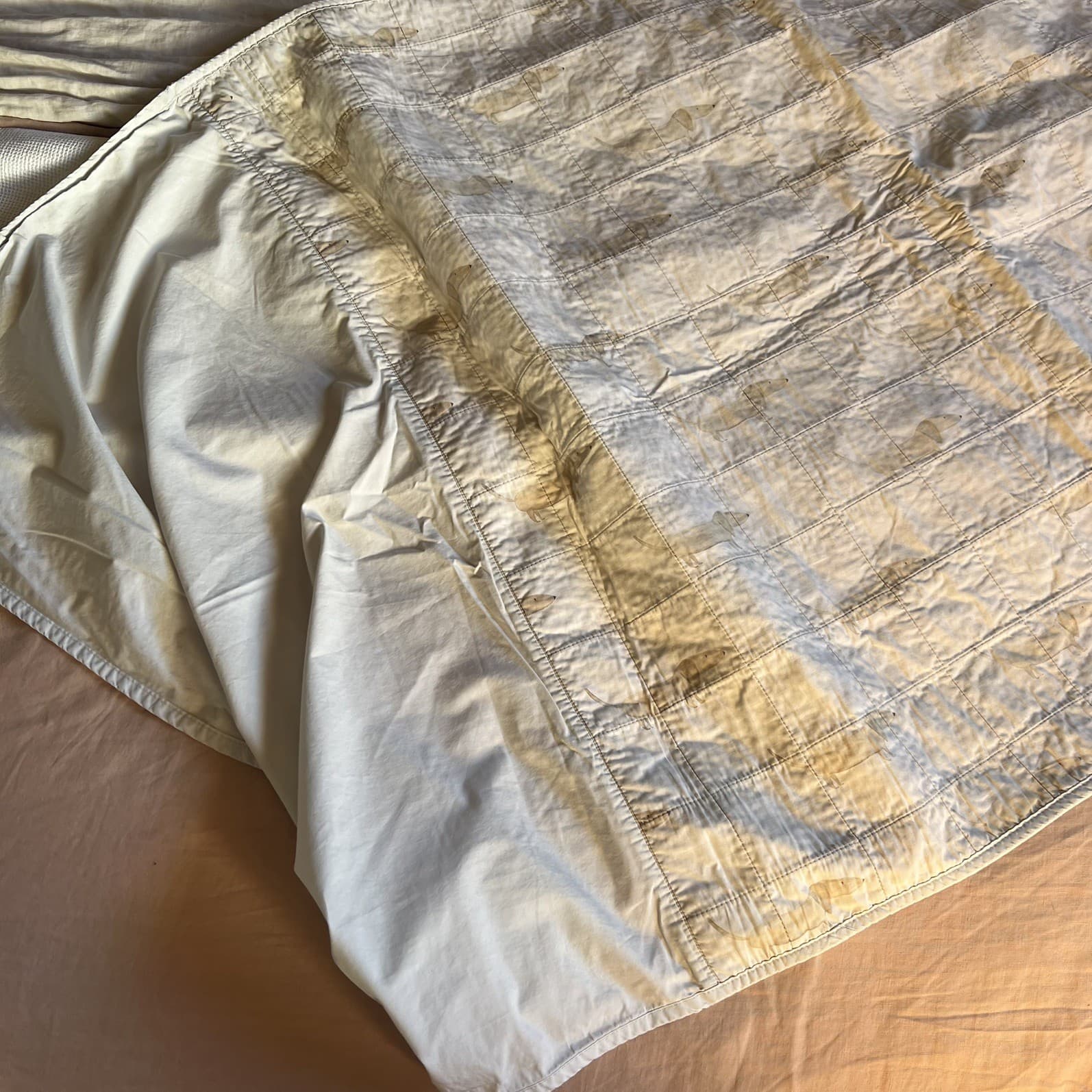 Bambella Designs Sausage Dog Waterproof Training Sheet Single Bed Pad — photo 6 of 7