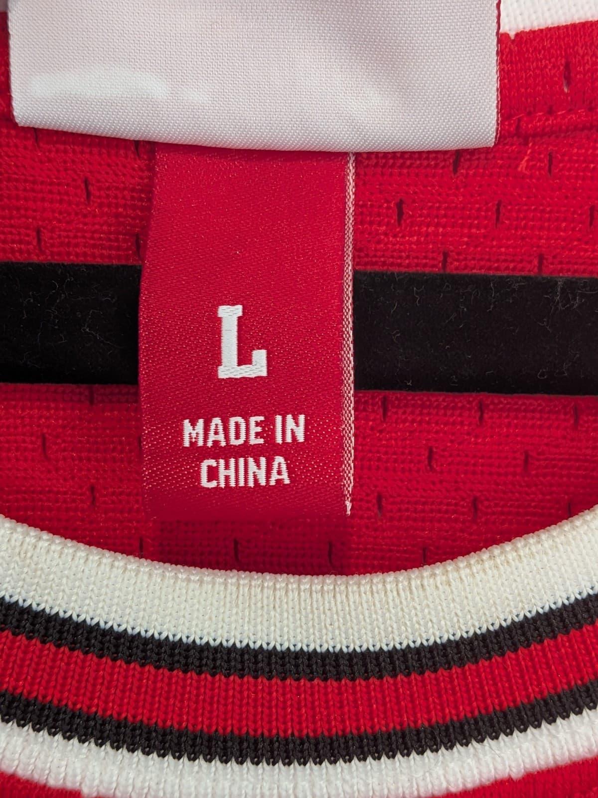 Chicago Bulls Dennis Rodman Mitchell Ness NBA Jersey Basket Singlet Size Aus L — photo 10 of 14
