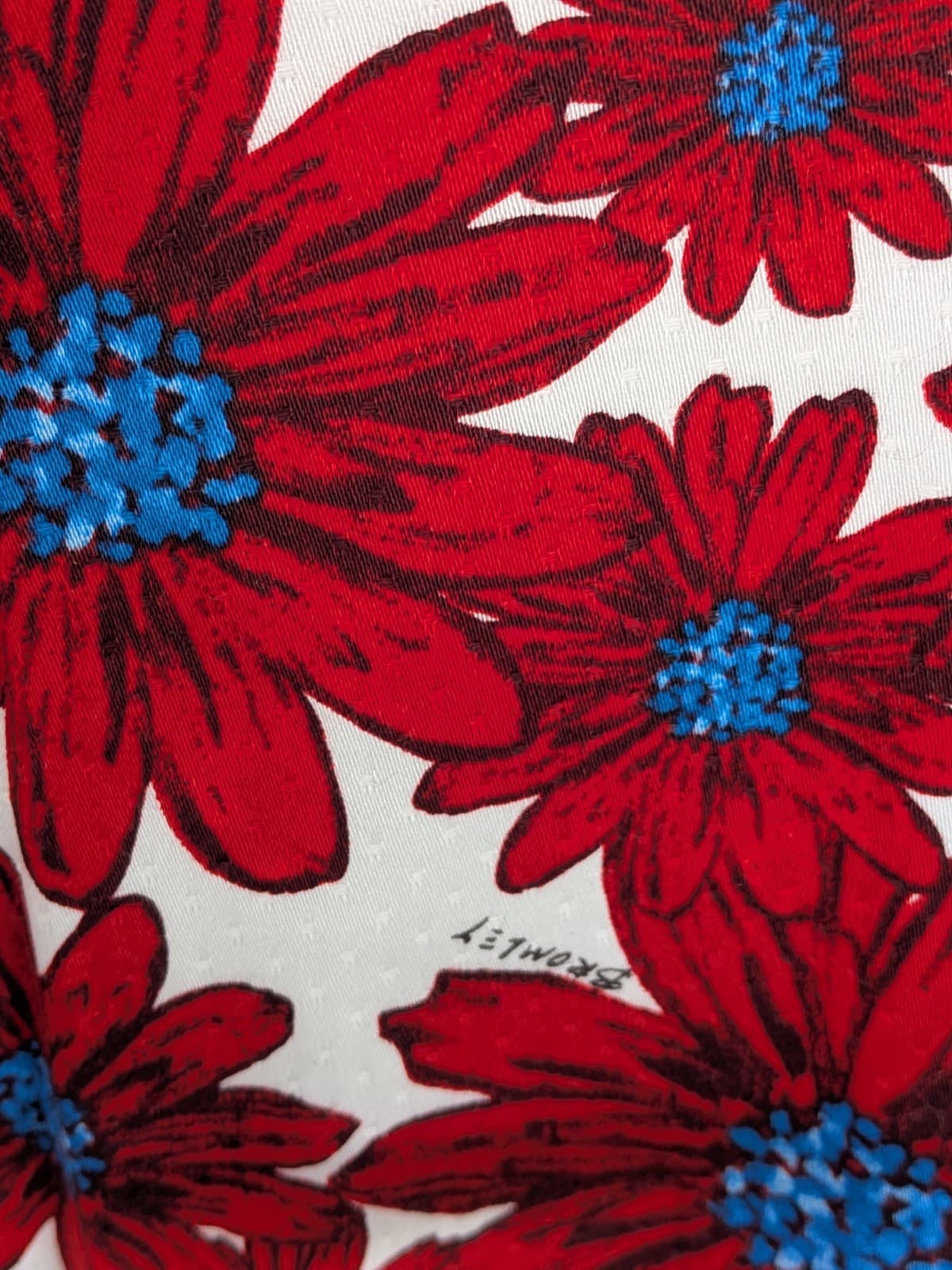 Review x Bromley Dress Red Floral Fit Flare Retro Pinup Wedding Plus Size 16 — photo 6 of 16