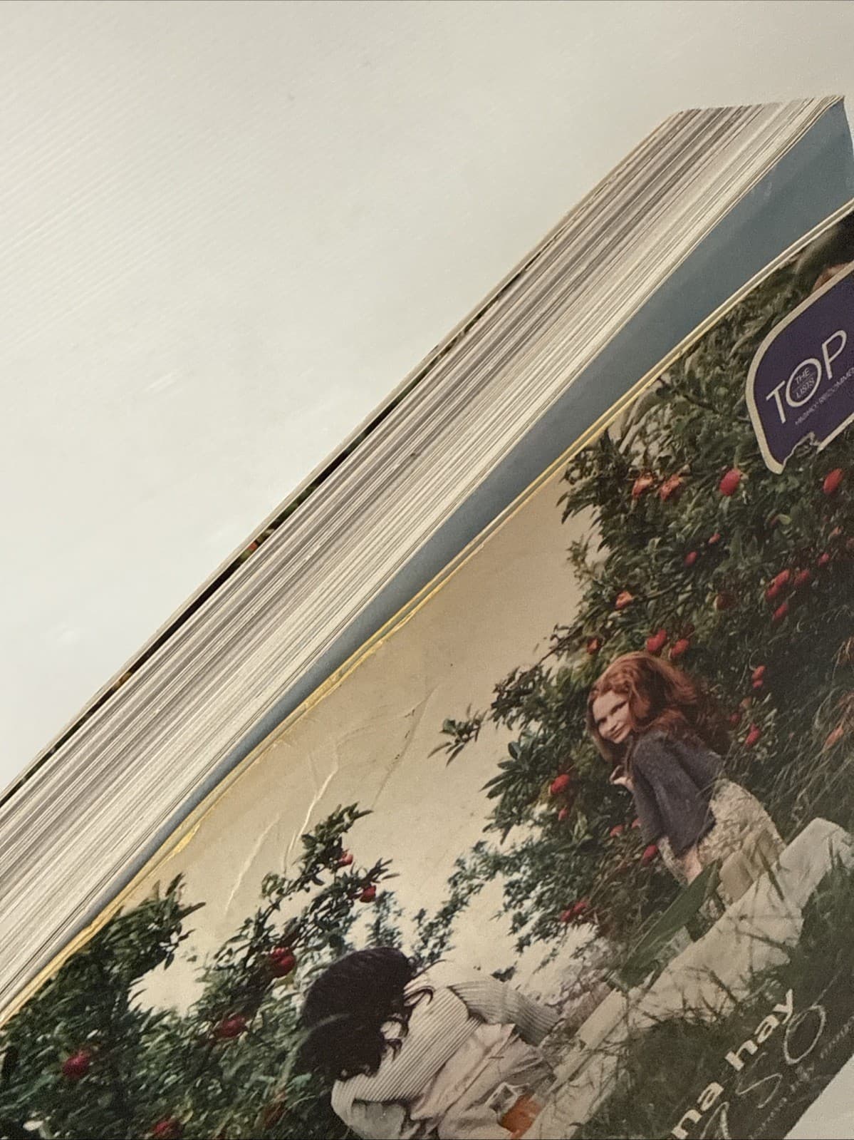 Seasons (The Best Of Donna Hay Magazine) by Donna Hay - Large Paperback Cookbook — photo 7 of 18