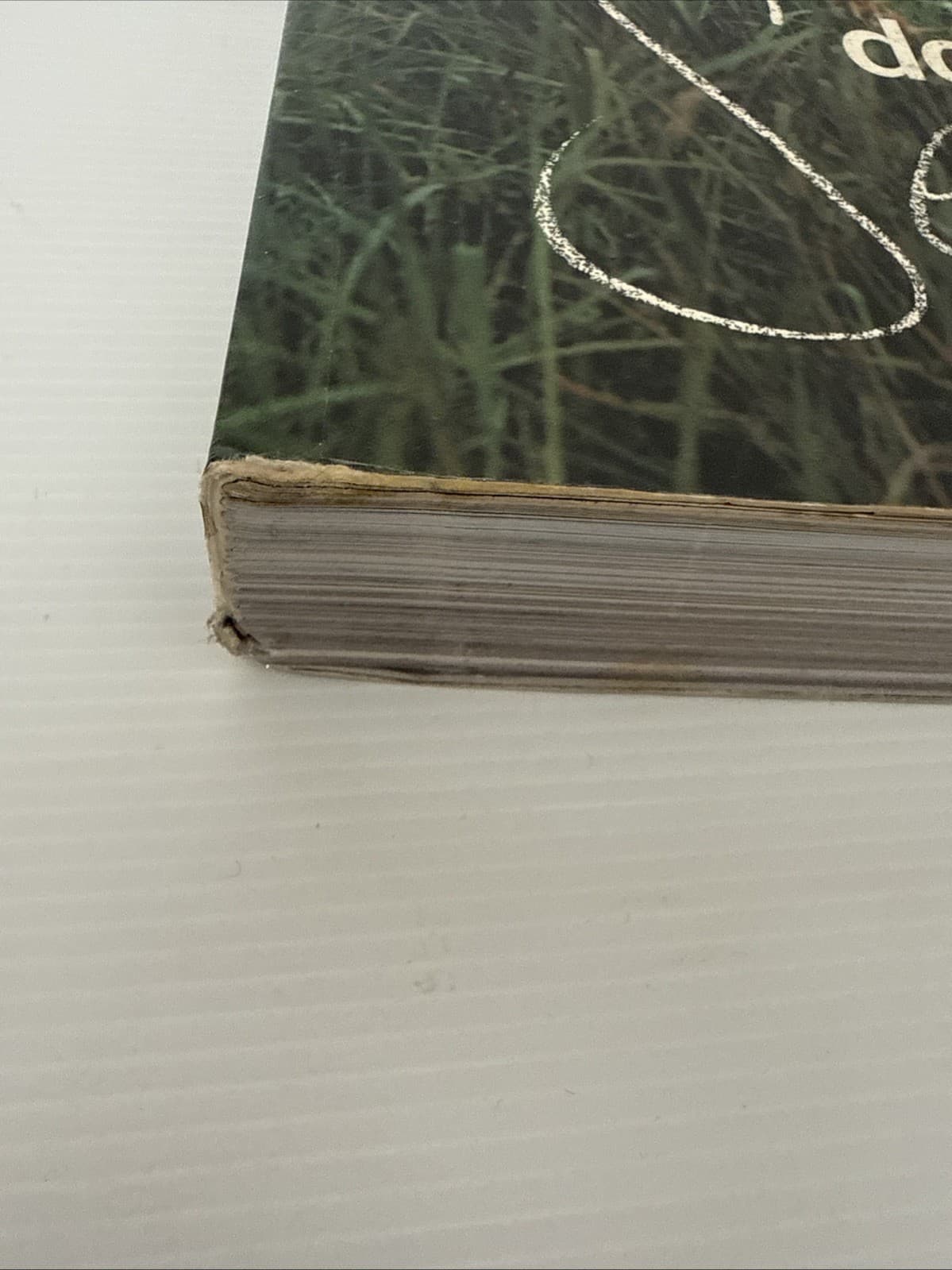 Seasons (The Best Of Donna Hay Magazine) by Donna Hay - Large Paperback Cookbook — photo 8 of 18
