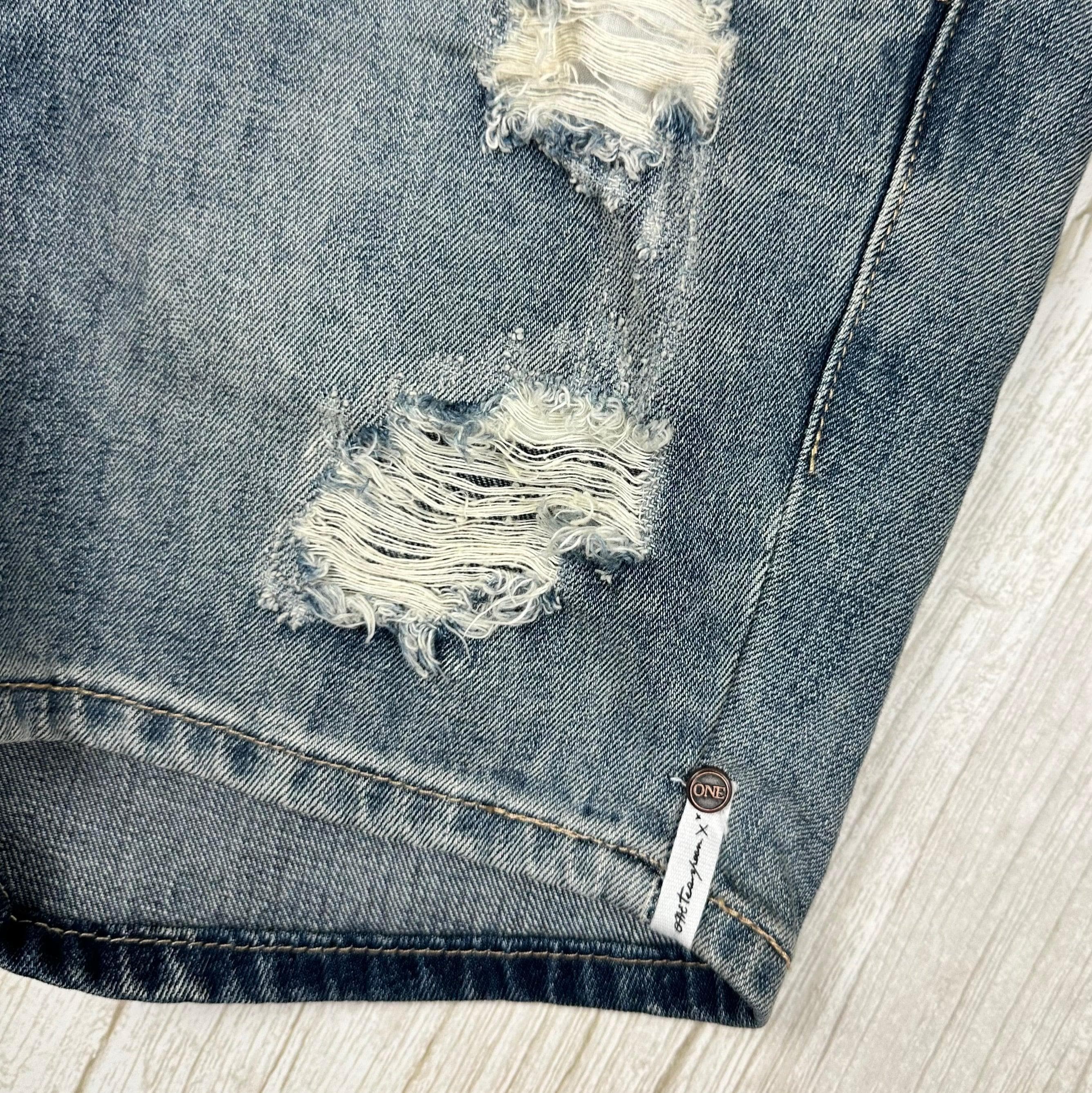 One X One Teaspoon Distressed 'Hustlers' Denim Shorts - Size 25 — photo 4 of 6