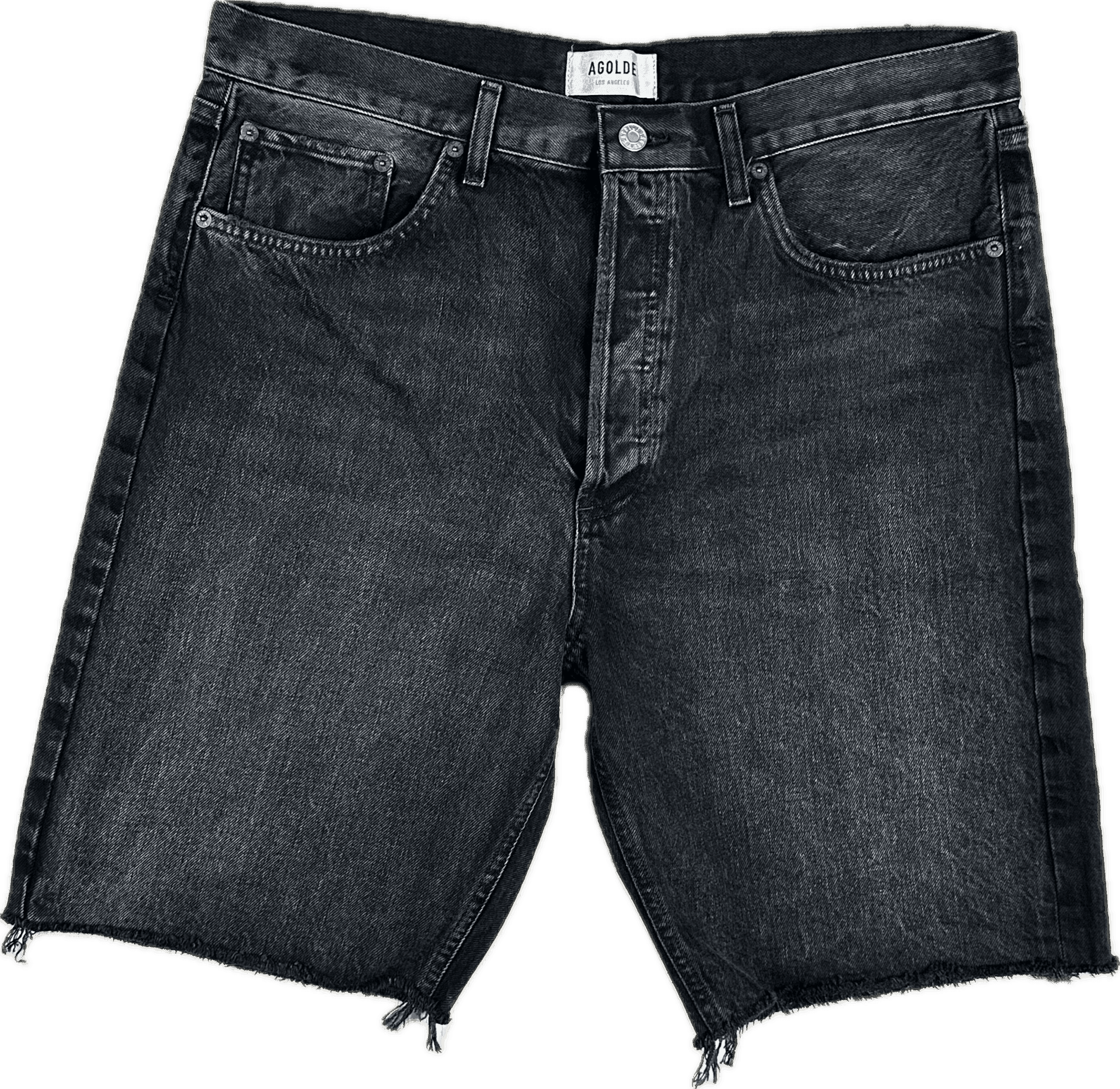 AGOLDE '90's Shorts' Boyfriend Denim Shorts- Size 32 or 14 — photo 3 of 8