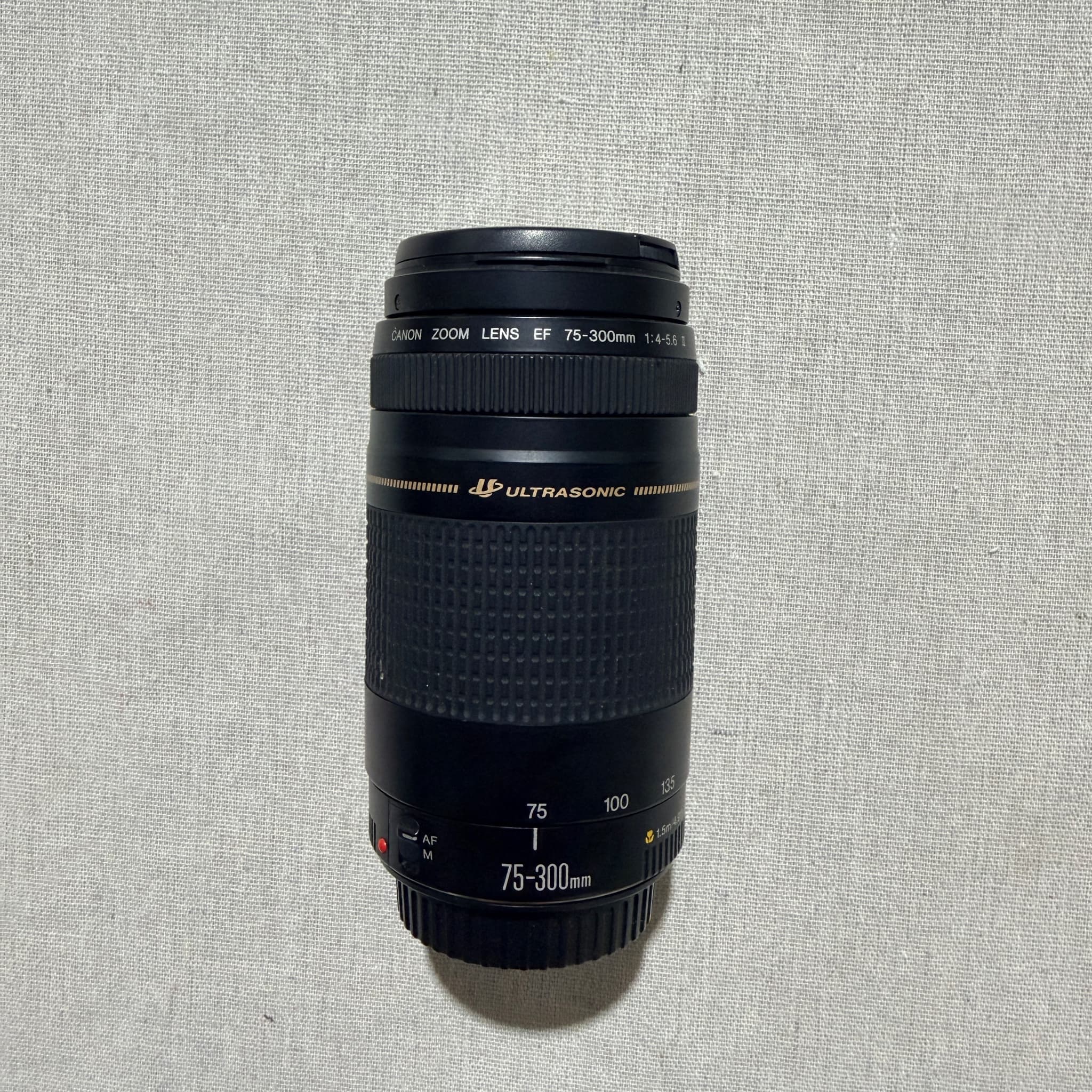 Canon EF 75-300mm f/4-5.6 II Ultrasonic Zoom Lens — photo 2 of 7